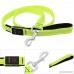 BSeen LED Dog Leash - USB Rechargeable 47.2 inch 120 cm Reflective Night Safety Pet Leash LED Strip to Keep You and Your Dog Safe - B0723CLFFJ