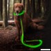 BSeen LED Dog Leash - USB Rechargeable 47.2 inch 120 cm Reflective Night Safety Pet Leash LED Strip to Keep You and Your Dog Safe - B0723CLFFJ