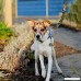 INTEY Nylon Dog Leash Camo Dog Leash with Comfortable Padded Handle 6 foot - B06XRB4HK5