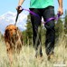 Leashboss Original - Heavy Duty Dog Leash for Large Dogs - No Pull Double Handle Training Lead for Walking Big Dogs - B00L71JGEM