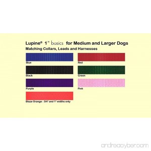 LupinePet Basics 1 Blaze Orange Leashes for Medium and Larger Dogs - B0040E9NGY