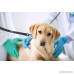 Mighty Paw Short Leash Traffic Handle Dog Leash Premium Quality Dog Lead with Padded Handle - B06XGZ426G