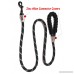 Primal Pet Gear - Rope Leash - 5ft long - Heavy Duty - 0.5 Thick - Metal Covers - Super Durable - Perfect for Medium Large and Tough Small Dogs Puppy -Training - Slip Leashes - B07FC5PVJ1