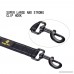 Retractable Dual Handle Dog Leash - Shock Absorbing Reflective Strong Bungee Lead Soft Padded 2 Handles for Traffic Safety Control Training by Snagle Paw 5 to 7 Feet Perfect for Medium to Large Dogs - B07C6L3JXF
