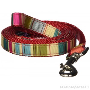Sassy Dog Wear 1 x 6' Stripe Dog Leash - B009FXV7DW