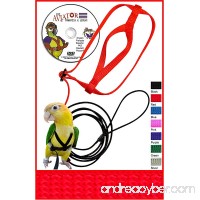The AVIATOR Pet Bird Harness and Leash - B000TF6PQE