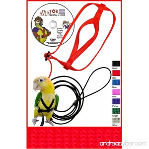 The AVIATOR Pet Bird Harness and Leash - B000TF6PQE