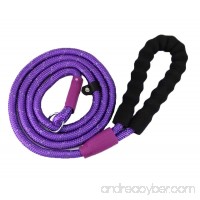 yueton Adjustable Loop Slip Lead Rope Pet Dog Reflective Stripe Nylon Leash with Sponge Handle - B01KWYFQPC