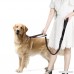Dog Seat Belt Dog Safety Car Seatbelt Buckle Heavy Duty Dog Leash with Double Handle for Large Dogs Training Walking Running Reflective Dog Leash with Car Seat Buckle - B07B6PLM7T