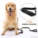 Double Leash with REMOVABLE SECOND LEASH 2 Rubber Handles 4-5.5ft Adjustable Length Night Reflective Dog Leash for 2 Dogs-Black - B075WV5PCH