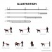 European Dog Leash PETBABA 6.2ft Long Adjustable Multifunctional Lead to Walk Train Your Pet in Multiple Way - B010MA2OEW
