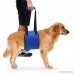 Homdox Pets Dog Leash Coupler Double Dog Walker Lead Elastic Two Dogs Leash Splitter - B074J82WXS