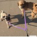 Reopet trade; Bling Rhinestone Double Dog Leash Coupler - Sparkly Diamonds Dog Leash - Fit Small Medium Doggie Daily Walking - 1/2 16 - B01E2524TI