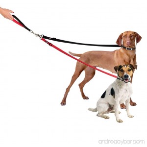 WagSafely Two Dog Tangle-Free Reflective Dual Leash - B01N0FY4HJ