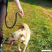 1Stage Dog Leash with Two Soft Handles for Walking Running Jogging Small Medium Large Dogs - B0784N5P1P