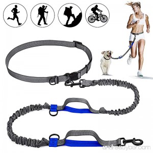 ARW Hands Free Leash 2 Dog Leashes & Adjustable Waist Belt with Shock Absorbing Bungee up to 150 lbs Leash for Medium Large Dogs - B07DV8GXRB