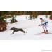 Complete Skijor Starter Kit (1 Dog): Comfort Belt Bungee Line and Freemotion Harness by Non-stop dogwear (6 - Medium) - B072FDWL57