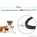 Cos2be No Pull Adjustable Reflective Pet Vest Harness -Soft Dog Leash With Dual Bungees- Pet Car Seat Belt For Small Medium Large Dogs - B073NZ1TGJ