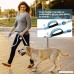 Dioche Hands Free Dog Jogging Leash Free Control for Up to 150 lbs Dogs Dual-Handle Reflective Bungee Leash with Adjustable Waist Belt and Dog Water Bowl for Hiking Running Walking - B07DGNSNT3