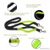 Dog on Leashes Walking Running Dogs Hands Free Bungee Dog Leash Dog at Belts with Bungee Reflective - B0762F74NR
