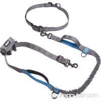 Friends Forever Bungee Hands Free Dog Leash For Running  Reflective & Adjustable Waist Belt For Dog Walking With Bonus Waste Bag Dispenser  One Size Fits Small Medium To Large Dogs  Grey/Blue - B074NQSTDK