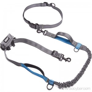 Friends Forever Bungee Hands Free Dog Leash For Running Reflective & Adjustable Waist Belt For Dog Walking With Bonus Waste Bag Dispenser One Size Fits Small Medium To Large Dogs Grey/Blue - B074NQSTDK