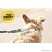Golden Tail Premium Hands Free Dog Bungee Leash Set - 4ft Dual Handle for Walking Running Biking and Hiking with Your Pet - Accessories Waist Belt Pouch w/ Poop Bag Roll Included - 3 Years Warranty - B01INX0R2G