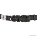 Hands Free Dog Leash Adjustable Waist Belt | For Small and Large Dogs (100lbs) - B06XS2R33R