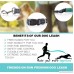 Hands Free Dog Leash For Running Jogging Walking Hiking Adjustable Waist Belt (Fits up to 48 waist) Reflective Stitching Durable Dual Handle Bungee Leash - B01I7GRX5S