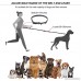 Hands Free Dog Leash for Running Retractable Leash with Shock Absorbing Dual Bungees Adjustable Waist Belt for Walking Jogging Hiking One Size fits Small Medium and Large Dogs - B073VH4LQJ
