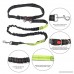 Hands Free Dog Leash for up to 150 lbs Large Dogs - Reflective Shock Absorbing Bungee Adjustable Waist Belt (Fits up to 50 Waist) Dog leash for Running Walking Jogging Training Hiking - B07C9CRLTQ