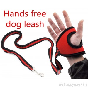 Hands Free Dog Leash Lead - Best Running Training Leash Lead with Zero Bungee Shock Absorbed Belt – for Small Medium Large Dogs Safety – Adjustable from 4.7ft to 6ft - B0796958ZM