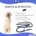 Hands Free Leashes For Running Waist Wrap Dog Leash Retractable Leash Retractable Dog Leash - Dual Bungee Spring By Nutty Pup - Multipurpose Padded Handles Hands Free Waist Wrap Lunge Absorber - B0776N58NV