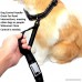HANDS FREE RUNNING JOGGING WALKING BUNGEE DOG LEASH - Reflective - Added Traffic Control Handle Stretch Elastic Stretch Lead Large Medium Small Dogs Adjustable Waist Belt Up To 42 DIEZEL PET PRODUCTS - B06VWQZT1W