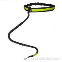 Hands Free Waist Dog Leash: Black Retractable Pet Bungee Leash with Pouch & Bag Holder| Walking  Hiking  Running  Jogging Dog Leash| Adjustable Waist Belt  Reflective Stripe  Shock-Absorbing Design - B078LPKVC3