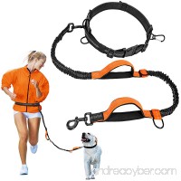 iSPECLE Hands Free Dog Leash  Dog Running Leash with Dual Bungees for Dogs  Double Padded Reflective Waist Leash Retractable Strong Adjustable Waist Belt for Running Walking up to 150lbs Large Dogs - B07BFVHR9W