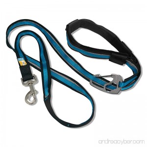 Kurgo 6-in-1 Quantum (TM) Hands Free Dog Leash for Walking Running or Hiking & Reflective Dog Leash with Adjustable Waist Belt - B00HS5FOVA