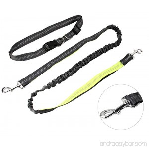 Leadrise Hands Free Dog Leash for Running Walking Hiking & Biking Durable Dual-Handle Bungee Leash Reflective Stitching Adjustable Waist Belt Fit up to 110 lbs Large and Medium Dogs - B074JCYJQ9