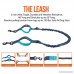 MAXiLEASH - Reflective Hands Free Dog Leash with Dual-Handle Bungee Cord for Running Walking Hiking and Biking - Perfect for Large or Medium Dogs - B072PR787C