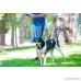 MAXiLEASH - Reflective Hands Free Dog Leash with Dual-Handle Bungee Cord for Running Walking Hiking and Biking - Perfect for Large or Medium Dogs - B072PR787C