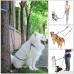 MFW 5-in-1 2017 NEW Hands-free Dog Leash 3 Handles for Extra Control Dual Shock Absorbing Bungees for Medium Large Dogs up To 180 lbs Phone Holder and Dog Treat Pouch Included - B07147HKJB