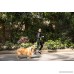 Odocat Hands Free Dog Leash for Walking Jogging Running with Shock Absorbing Bungee Adjustable Waist Belt Waterproof Zippered Pocket Foldable Travel Dog Bowl Ideal for Medium to Large Dogs - B078N35GZK
