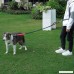 Petopt Hand Free Dog Leash for Running Walking Training Dual-Handle Running Dog Leash with Reflective Bungee - B076MSSKHW