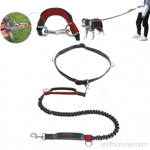 Petopt Hand Free Dog Leash for Running Walking Training Dual-Handle Running Dog Leash with Reflective Bungee - B076MSSKHW