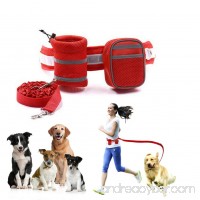 QBLEEV Hands Free Dog Leash with 2 Pockets for Running Walking Hiking Retractable Bungee Reflective Stitching 6-Foot Long Adjustable Waist Belt (Fits up to 31.5-40 waist) - B075CJ2QP6