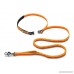 RUFFFWEAR FFWEAR - Roamer Extending Dog Leash (Medium Orange Sunset) - B073WNS57T