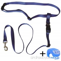 Running Dog Leash Hands Free – Including LED Light. Great for Walking  Running  Biking and Jogging. - B00DXN4QWE