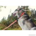 SGODA Dog Leash Hands Free Bungee Leash for Walking Running Training Nylon Dog Lead with Soft Padded Waist Belt - B01N1KFLGU