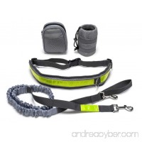 Skycrown Hands Free Dog Leash Elastic With Reflective Stripe  Adjustable Waist Belt and Flexible Bungee Belt - B06XT7YMZF