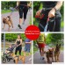 TAKE YANKEE Hands Free Dog Leash + Training Running Walking Leash & Double Leash Set Fits 2 Dogs + Reflective Leash Adjustable Waist Belt + Strong Bungee Leash + Poop Bag Holder - B075ZZ7Q64